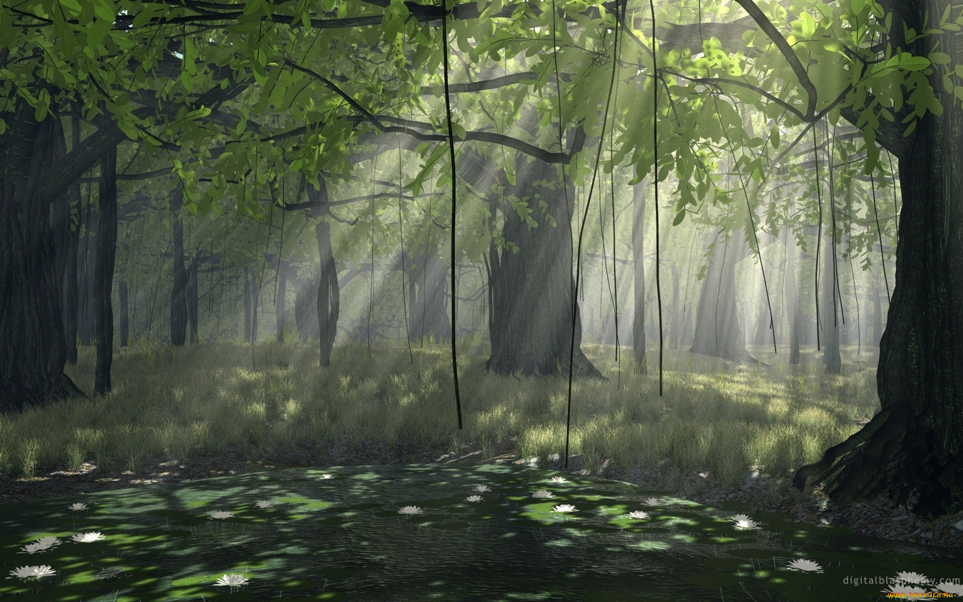 3, , nature, landscape, 